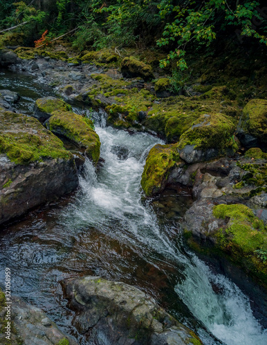 Dazzling Deschutes river cascading thru the canyon surrounded by moss in Deschutes Park  Yelm Thurston county Yelm Washington State photo