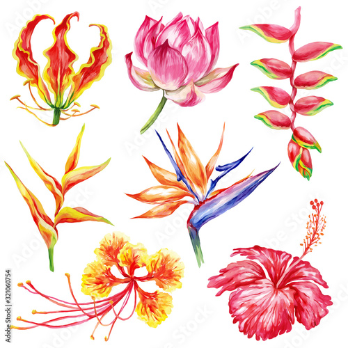 Watercolor style set of exotic flowers. Botanical bright nature collection isolated on white background.