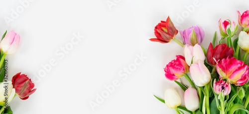 Fotografia Fresh tulips flowers