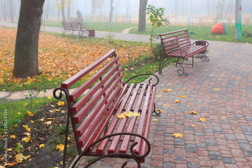 Yellow leaves on a wet red bench and on the grass in a park on a foggy autumn morning Yellow leaves on a wet red bench and on the grass in a park on a foggy autumn morning