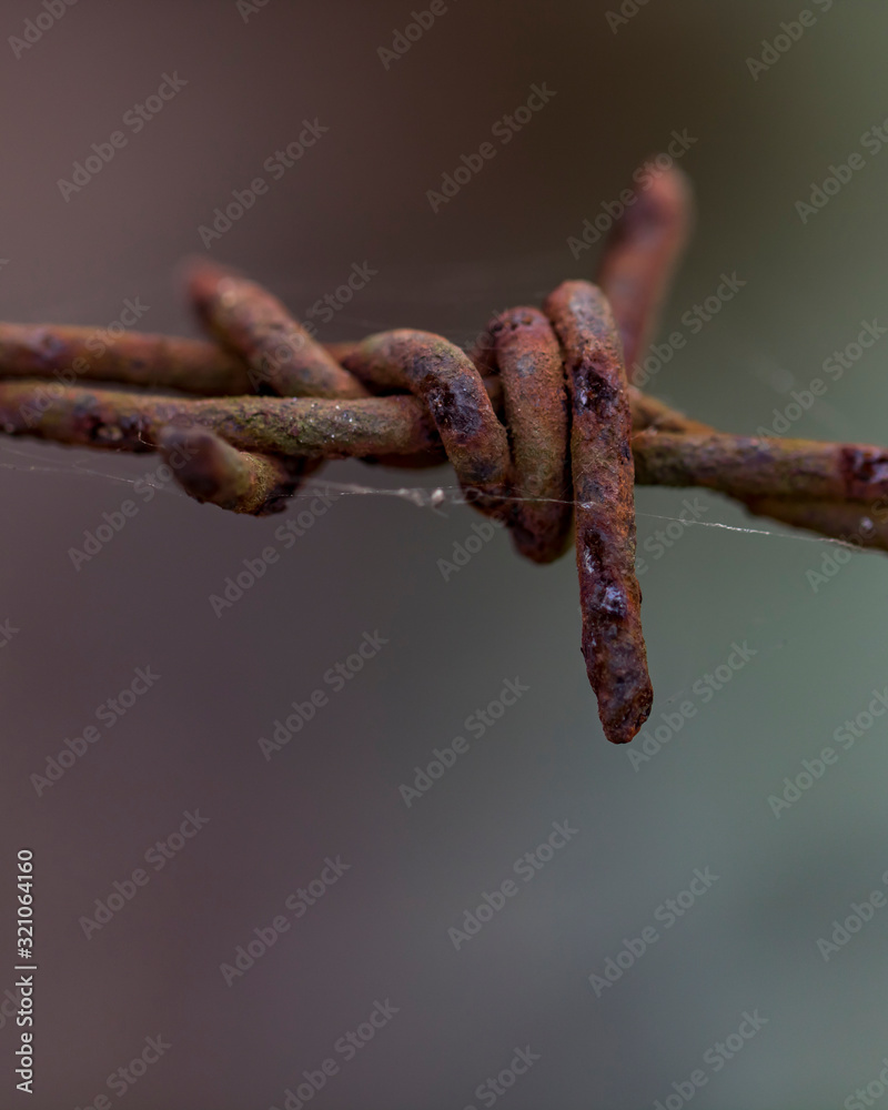 Barbed wire. I use it for enclosing my home's fence