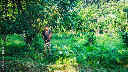 A middle aged man cutting the the thick bushes using the brush cutter machine under the scorching sun.