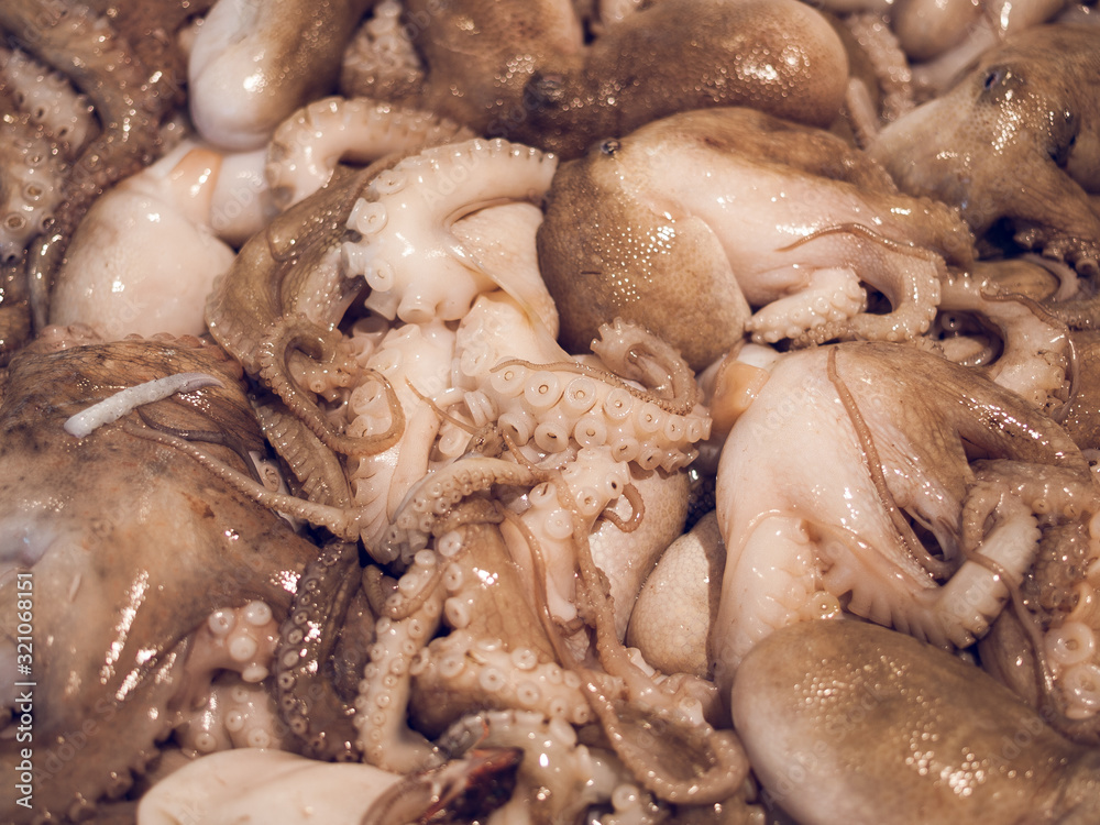 Baby squid at wuhan wet market in china. The corona virus has possibly come form this market in china. The virus has spread worldwide. Baby squid used for cooking and cuisine. Baby squid at wuhan wet market in china. The corona virus has possibly come form this market in china. The virus has spread worldwide. Baby squid used for cooking and cuisine.