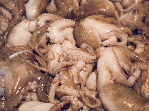 Baby squid at wuhan wet market in china. The corona virus has possibly come form this market in china. The virus has spread worldwide. Baby squid used for cooking and cuisine.