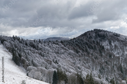 Neige sur la forêt des Vosges