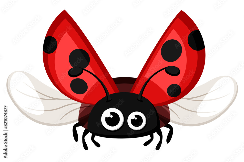 Obraz premium Ladybug flying on a white background. Insect