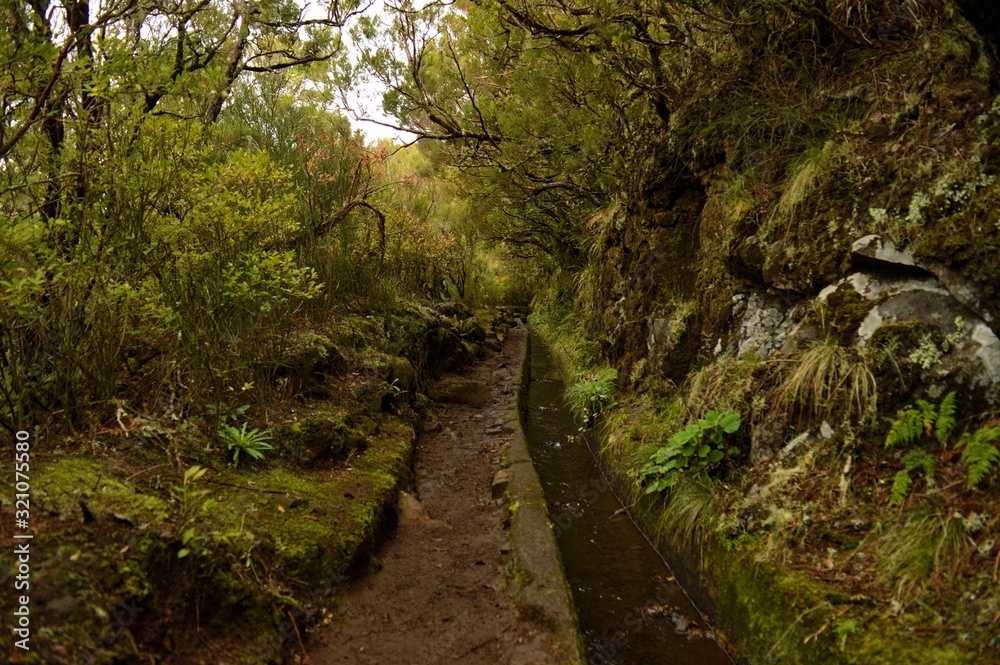 Levada do Alecrim, Madeira Island Levada do Alecrim, Madeira Island