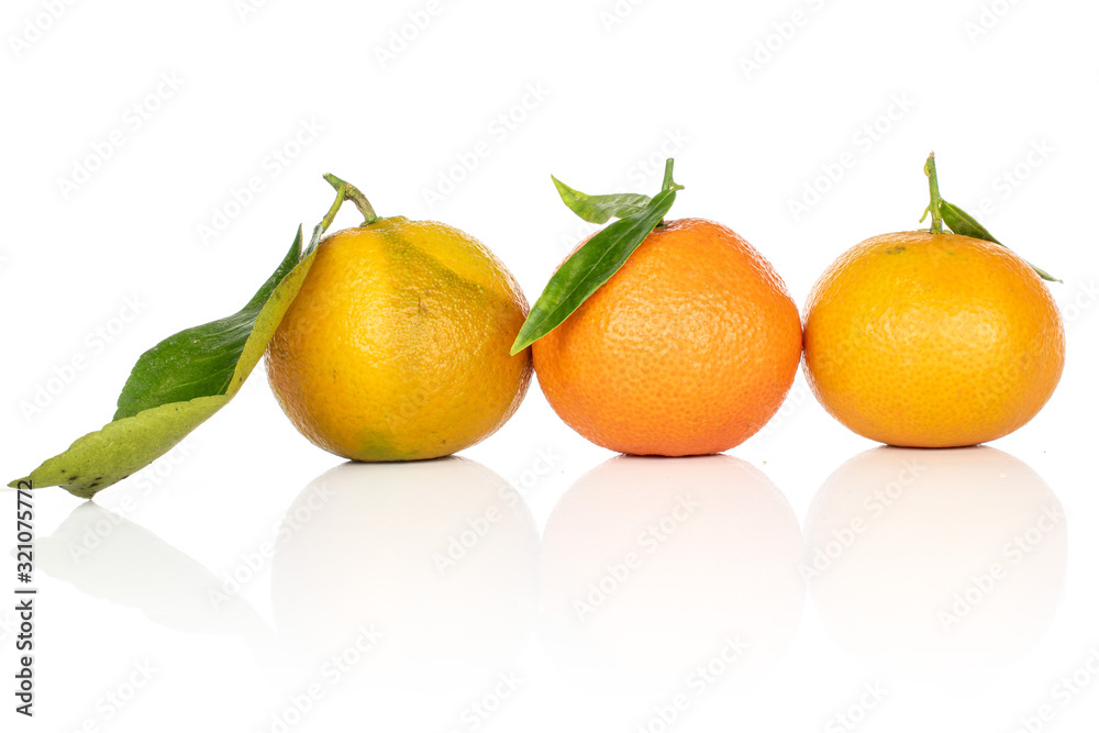 Group of three whole fresh orange mandarin isolated on white background Group of three whole fresh orange mandarin isolated on white background