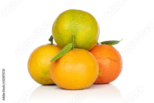 Group of four whole fresh orange mandarin heap isolated on white background