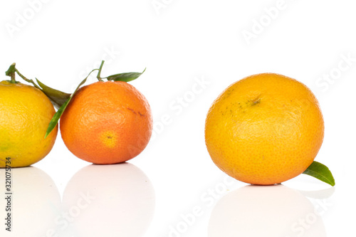 Group of three whole fresh orange mandarin isolated on white background