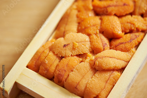 Canvastavla A pack of fresh raw sea urchin