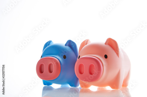 Blue and pink piggy bank 
