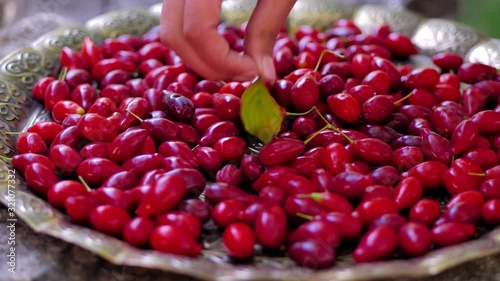 A young girl was collecting dogwood in a copper tray