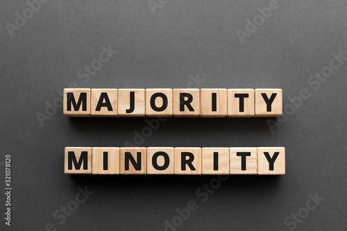 Majority minority - words from wooden blocks with letters, majority minority concept, top view gray background