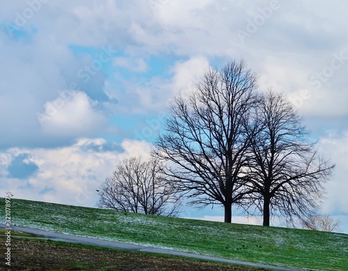 Bäume in winterlicher Landschaft