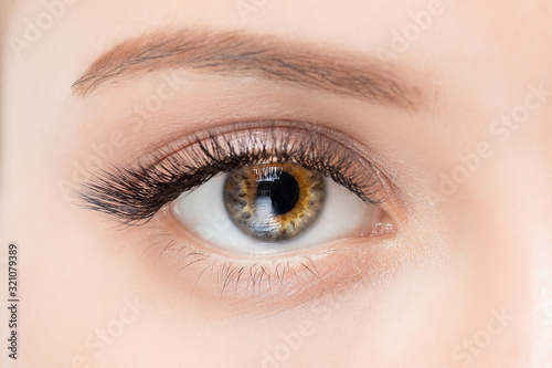 Macro woman eye heterochromia with beautiful brown red shades smokey makeup fashion. Concept eyelashes extensions procedure