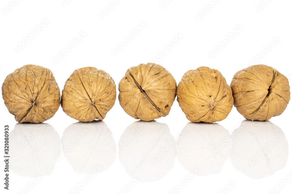 Group of five whole tasty brown walnut line isolated on white background Group of five whole tasty brown walnut line isolated on white background