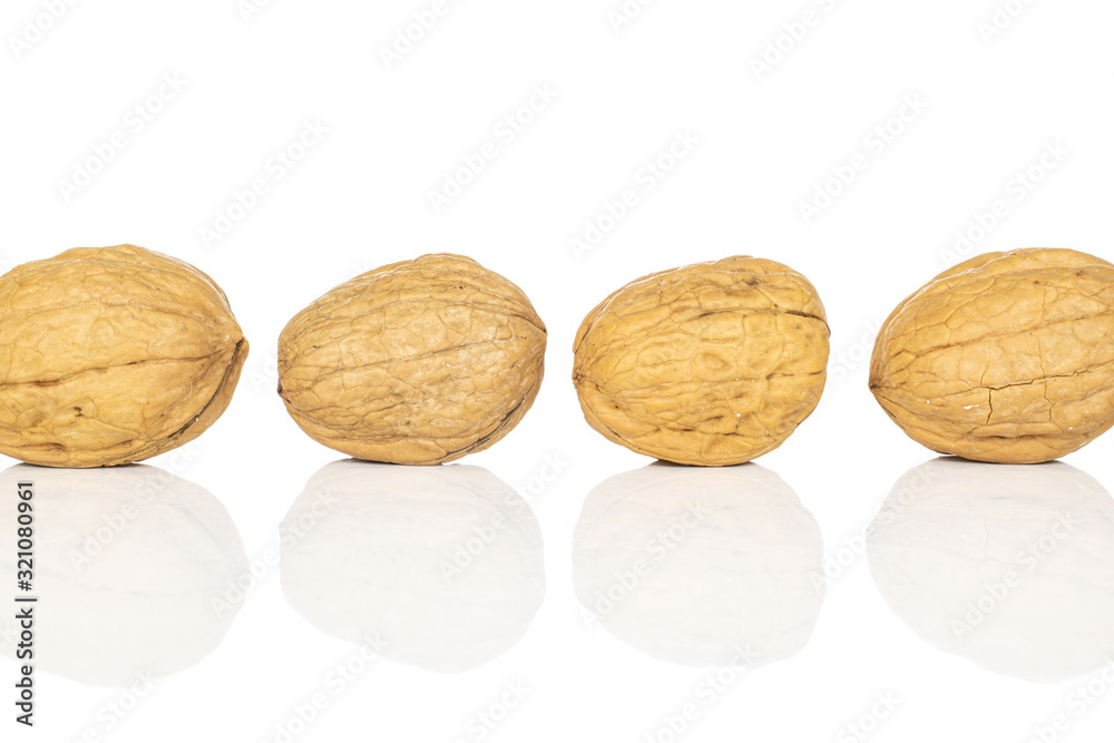 Group of four whole tasty brown walnut line isolated on white background