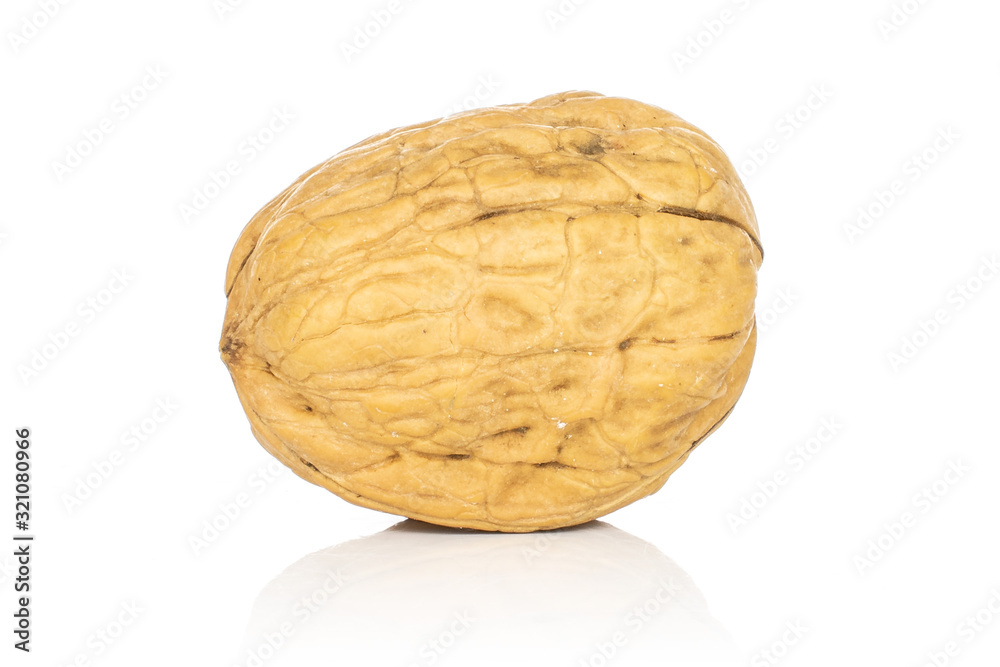One whole tasty brown walnut isolated on white background One whole tasty brown walnut isolated on white background