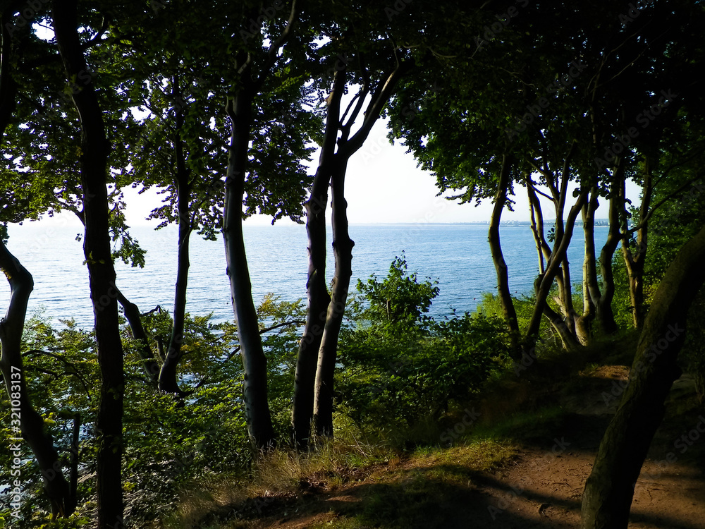 Beautiful view of Baltc Sea from park in Gdynia, Poland. Beautiful view of Baltc Sea from park in Gdynia, Poland.
