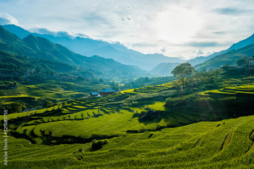 sapa - mountain - terrace rice field sapa - mountain - terrace rice field