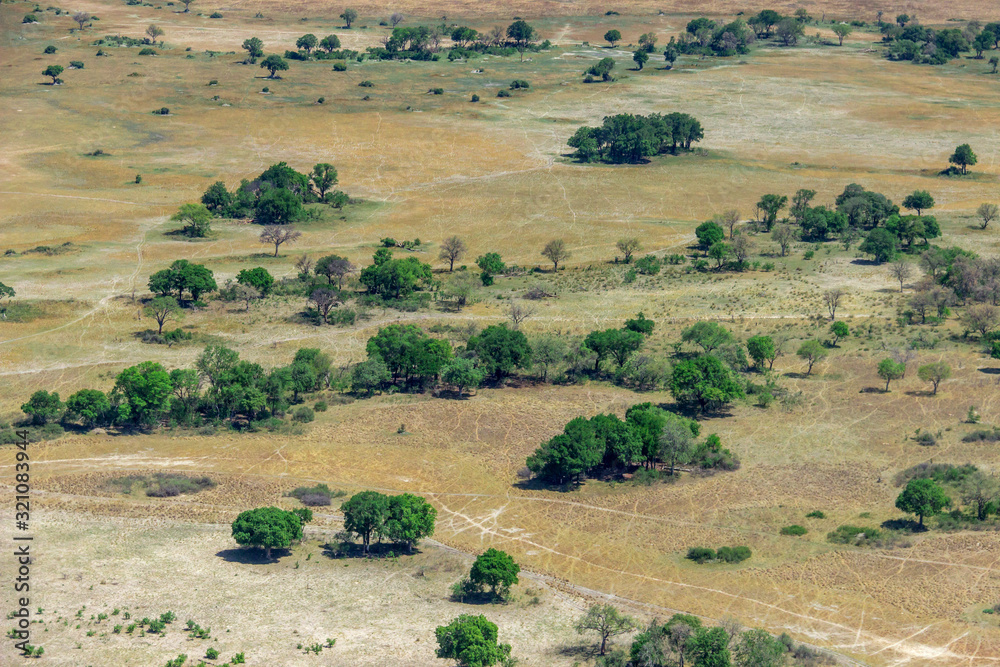 Obraz premium Buschland