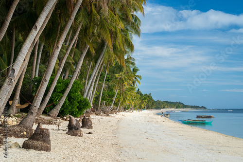 Fototapeta Naklejka Na Ścianę i Meble -  Philippines white beach at island siquijor at sunset with palm tree coconut tree and banca boat