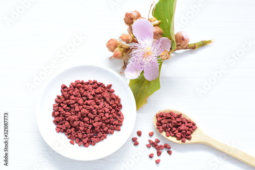 Achiote seed called Bixa orellana of America, used to flavor food