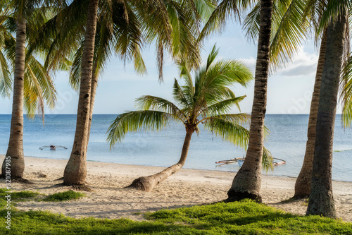 Fototapeta Naklejka Na Ścianę i Meble -  Relaxing sunset at white beach on philippine island siquijor with palm tree coconut tree