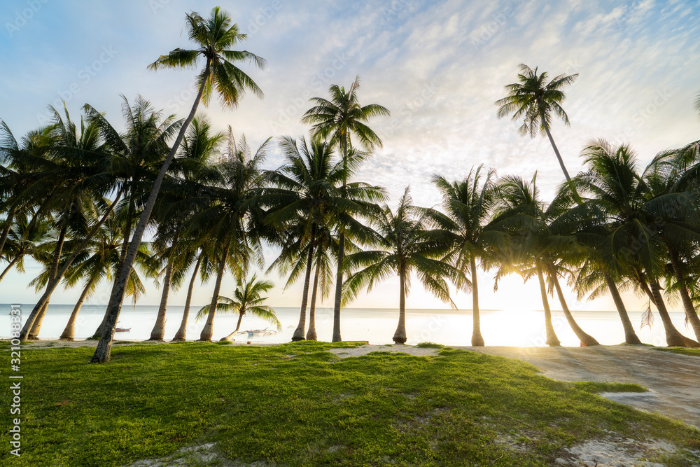 Relaxing sunset at white beach on philippine island siquijor with palm tree coconut tree Relaxing sunset at white beach on philippine island siquijor with palm tree coconut tree
