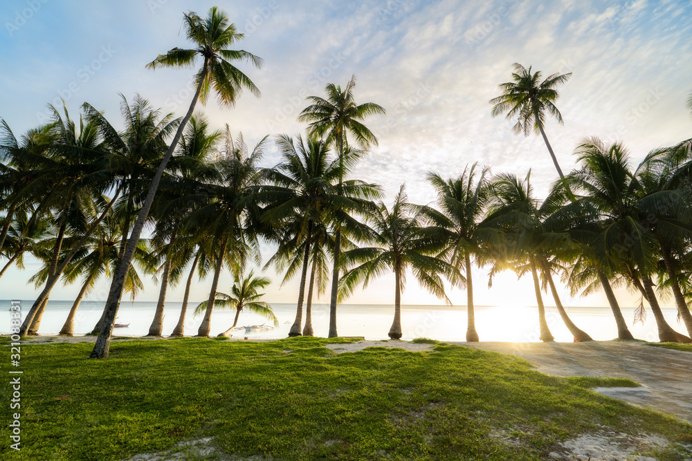 Relaxing sunset at white beach on philippine island siquijor with palm tree coconut tree