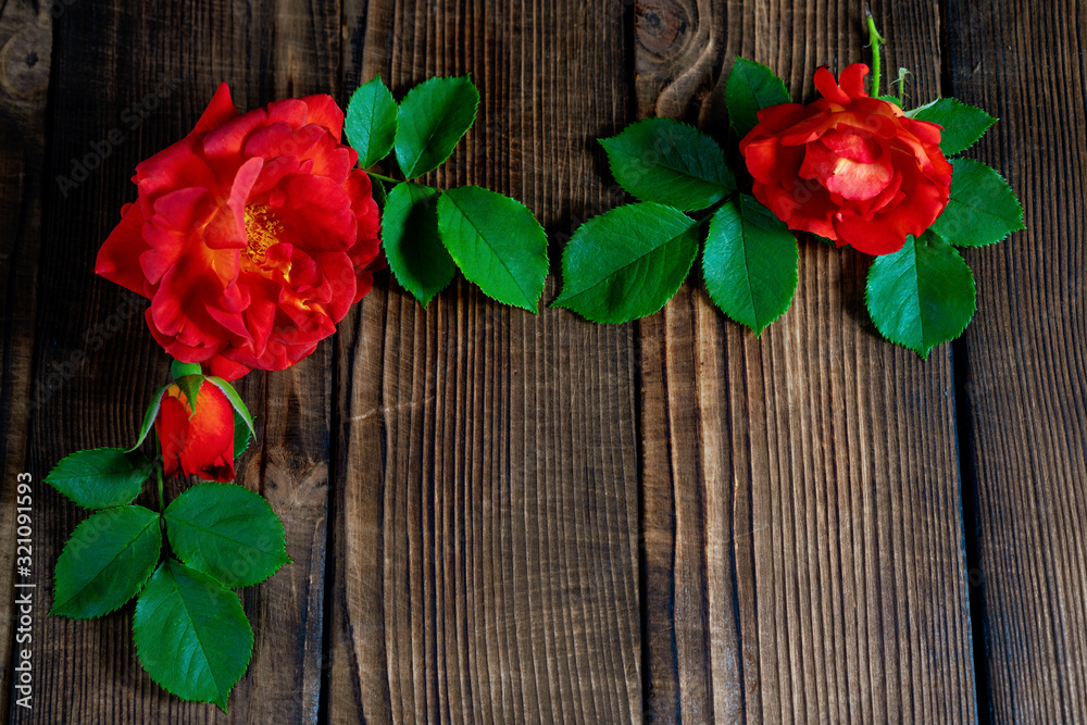 beautiful red roses on a wooden background