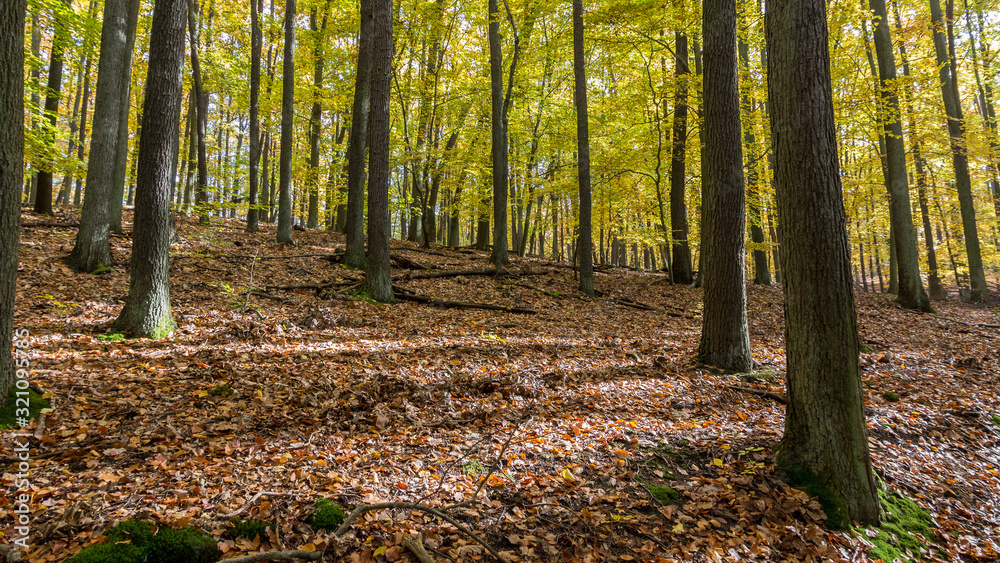 Herbst Herbst