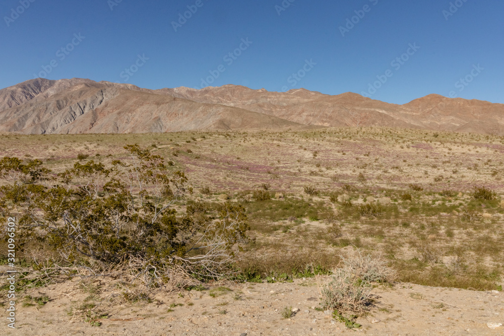 Desert landscape with mountains and blue sky