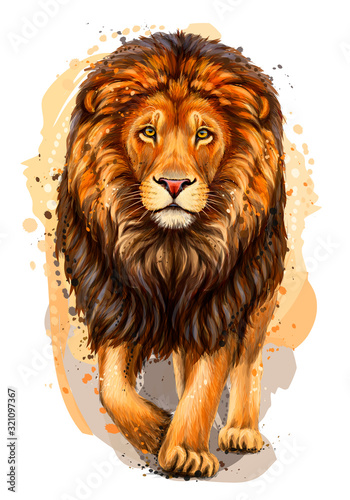 Lion. Artistic, color, realistic portrait of a lion walking forward on a white background with watercolor splashes.