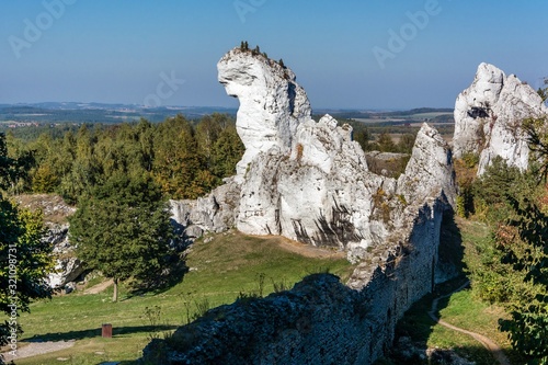 Obraz na płótnie wielbłąd Jura w salonie