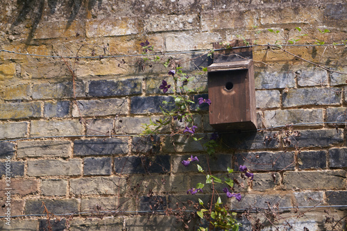 Old brick wall with broken birdfeeder