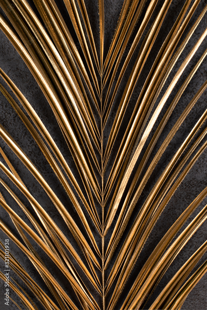 Obraz premium Closeup of golden palm leaf on abstract dark grey textured background. Tropical conceptual luxury elegant trendy art deco summer background. Flat lay. Symmetric composition