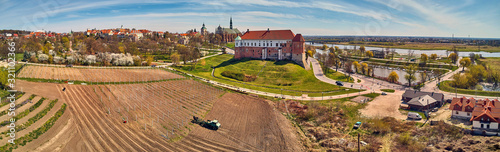 Beautiful panoramic aerial drone view to the Sandomierz Royal Castle - planting vines in the vineyard of St. Jakub - near the monastery and Church of St. Jakub in Sandomierz, Poland