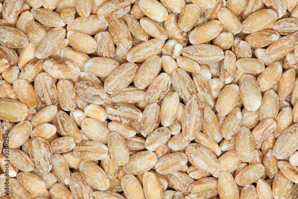 Pearl barley macro background Pearl barley macro background