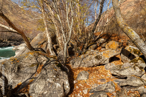 large boulders on the banks of a mountain river, Kokemeren river, Kyrgyzstan photo