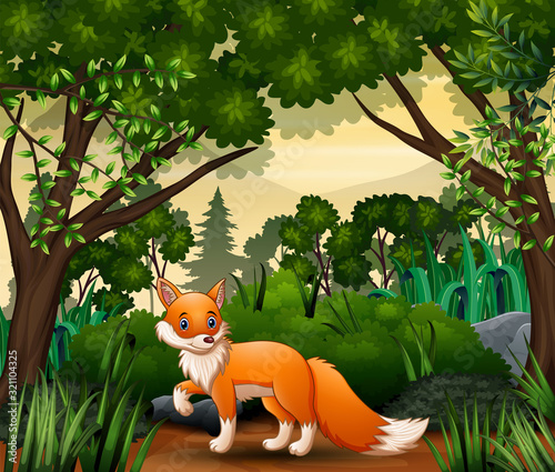 A fox looking for prey at forest scene
