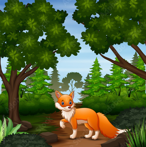 A fox looking for prey at forest scene