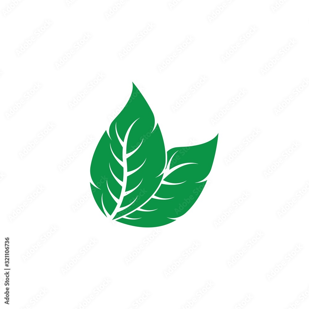 Eco icon green leaf vector illustration Eco icon green leaf vector illustration