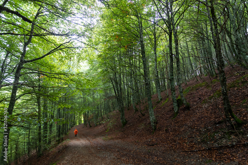 Obraz premium CAMINHO DE SANTIAGO