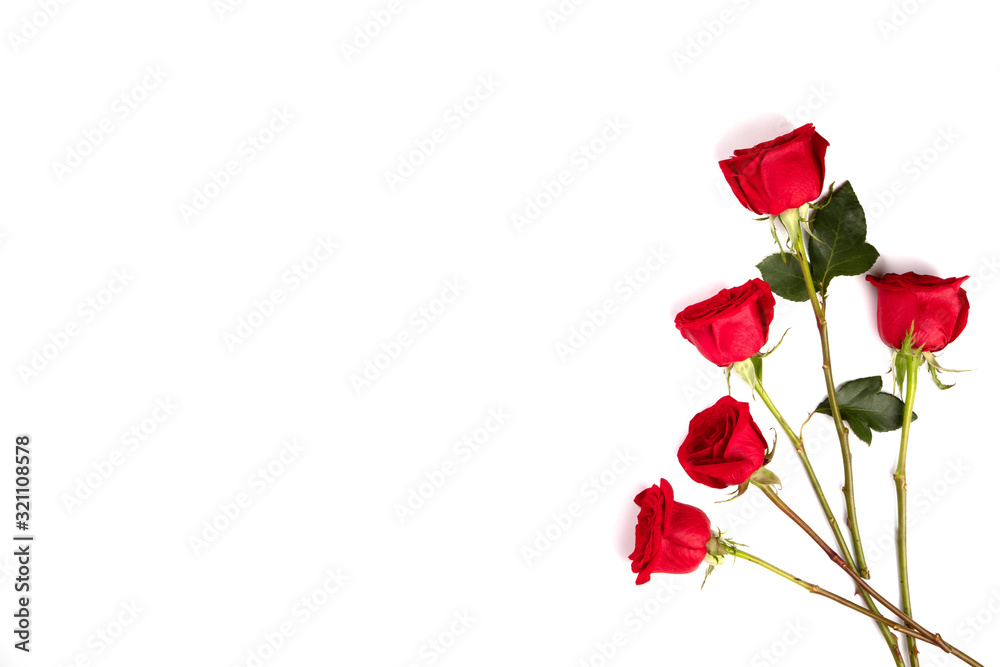 Fototapeta premium Red fresh roses isolated on white background. Traditional holiday gift.