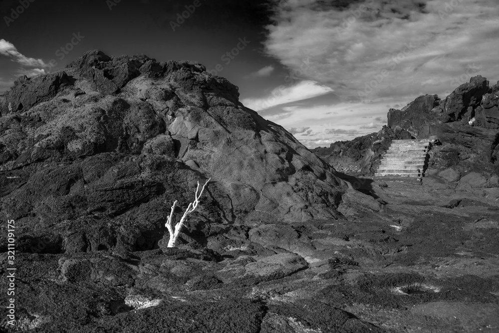 Black and white photo of black volcanic beach with stairs and white branch, Sao Miguel Azores