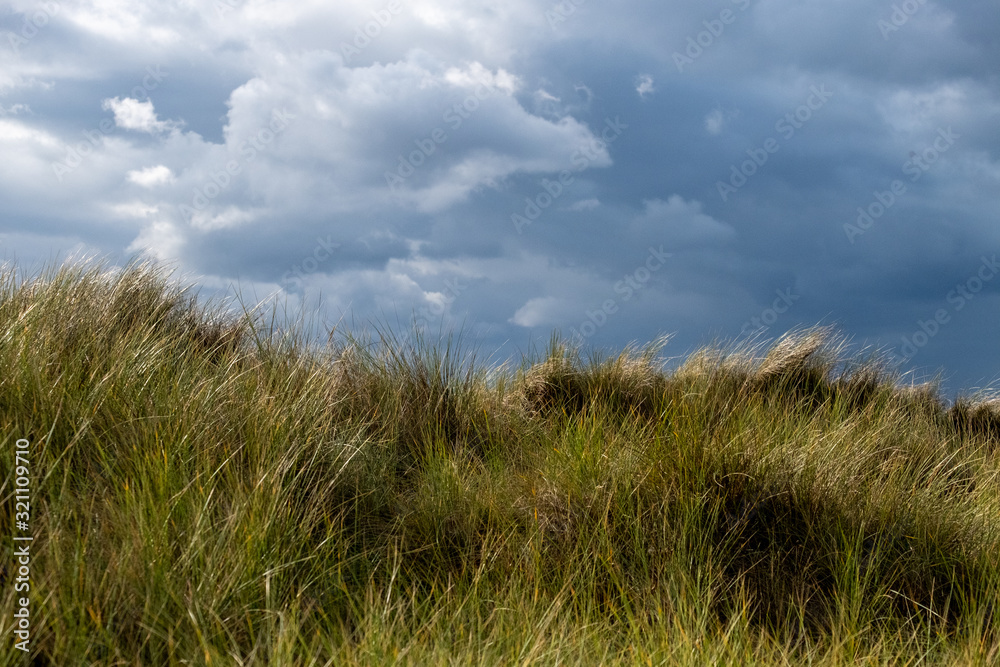 Dreamy image with green spikey grass and blue cloudy sky on the English coast