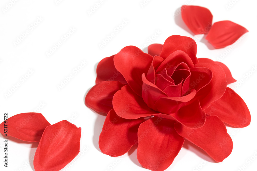 Red rose on a white background. Red rose on a white background.