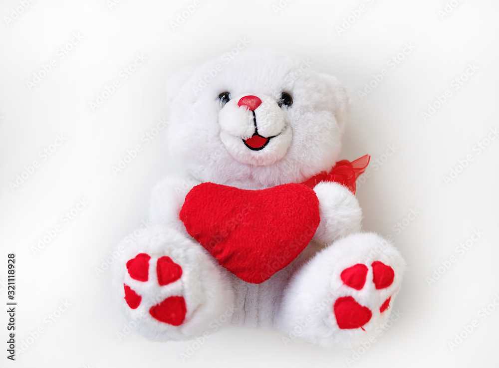 White teddy bear holds red heart on a white background